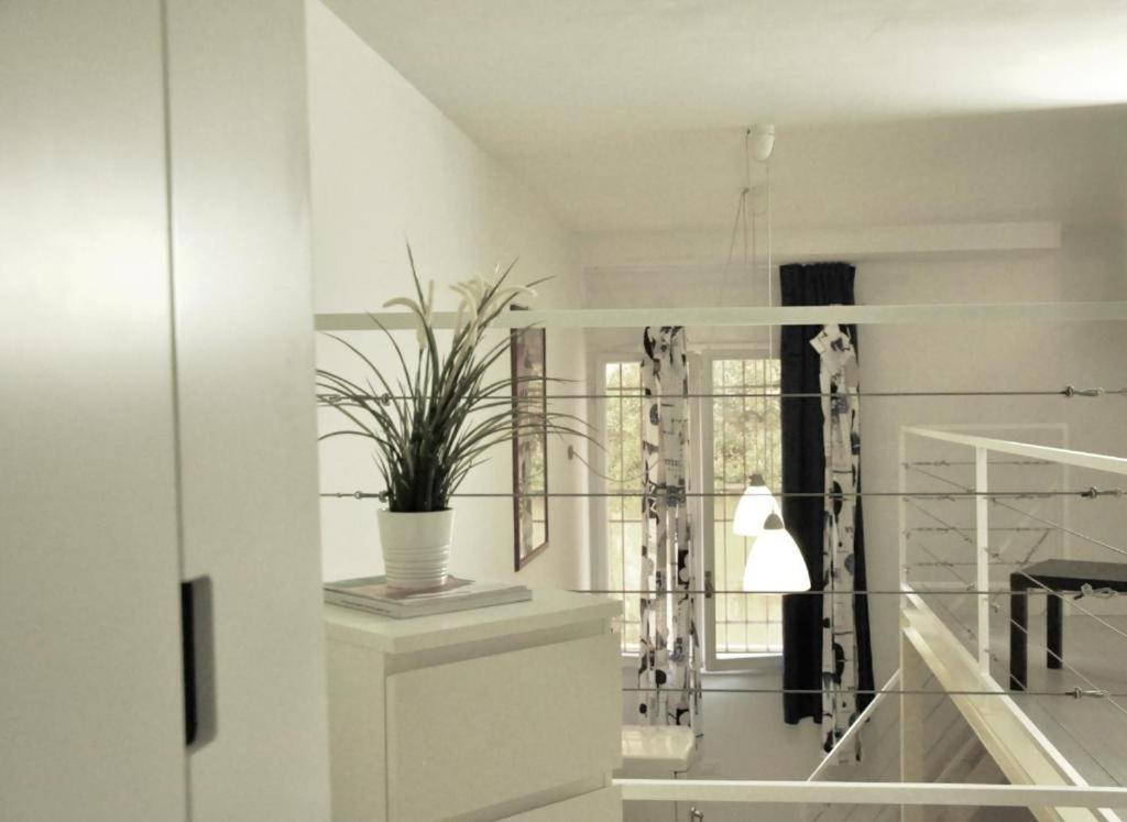 Apartament Housmart Podgora 1-2 Bolonia Zewnętrze zdjęcie